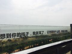 -巨鹏飞梦幻海岸