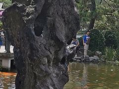 -西湖外事游船(花港观鱼码头)