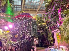 -正佳雨林生态植物园