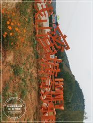 -浅山蜜塘奇妙乐园·亲子营地