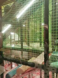 -MELAND CLUB亲子乐园·派对·餐厅(北京芳圆里ID MALL店)