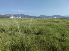 -敕勒川草原