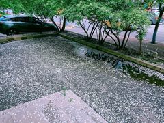 -波特曼西餐厅(南岗店)