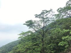 -广州市石门国家森林公园