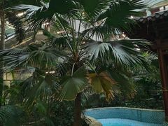 -黑龙江中医药大学附属第一医院