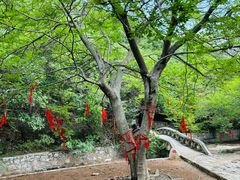 -青檀寺景区