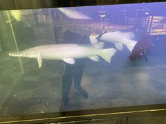 -六鳌翡翠湾滨海度假景区