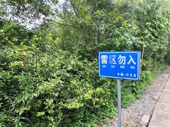 -珍宝岛