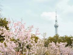 -文华公园(禅城区)