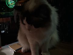 -南京天堂隔壁酒吧