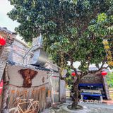 在中山…吃鱼还是得去老农庄！好吃不踩雷
