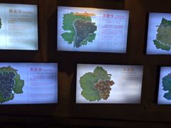 iphone_upload_pic-青岛葡萄酒博物馆