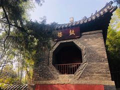 -泰山风景名胜区-普照寺