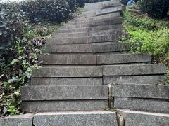 -午潮山国家森林公园