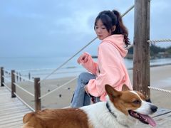 -汕尾风车岛