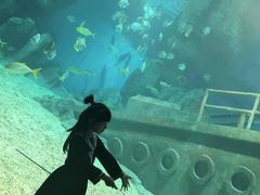 -福州罗源湾海洋世界旅游区