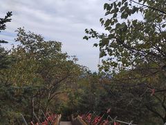-妙峰山风景名胜区