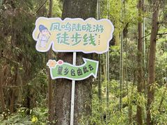 -凤栖山