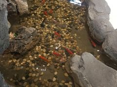 -长春宾馆·丽豪浴都