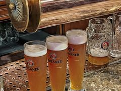 -宝莱纳啤酒花园餐厅PAULANER BRAUHAUS Nanjing(广州路店)