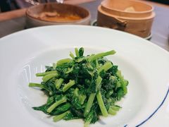 清炒豌豆尖儿-晟永興烤鸭店(五道口店)