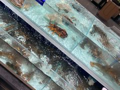 水产区-盒马鲜生(新都心店)