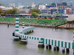 -澳门环岛游湾仔码头