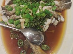 -老吉士酒家(丁香国际店)