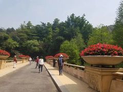 -云溪植物园