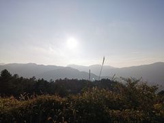 -江南天池