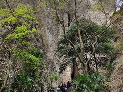 -窦圌山风景区