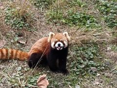 -宁波野生动物园