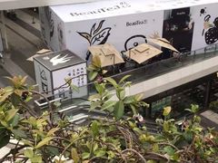 -BeauTea水仙(coco park店)