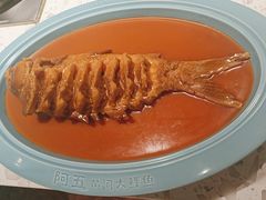 -阿五黄河大鲤鱼(英协路店)