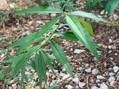 -青州市云门山风景区