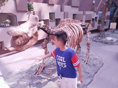 -陕西自然博物馆