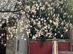 -潭柘寺景区