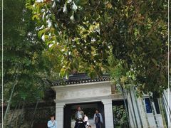 -上海佘山国家森林公园西佘山园