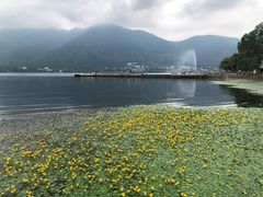-西昌邛海湿地