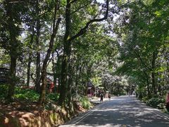 -岳麓山风景名胜区