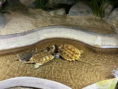 -泉城欧乐堡海洋极地世界