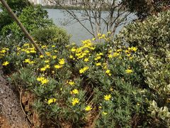 -艾溪湖湿地公园