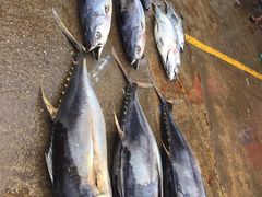 -尼甘布海鲜市场