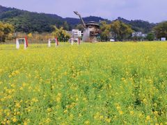 -红山村