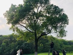 -艾溪湖湿地公园