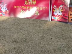 -苏州上方山国家森林公园