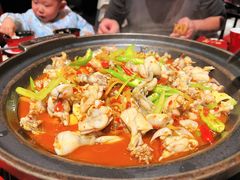 鲜椒仔姜牛蛙-蛙三泡椒牛蛙(万象城店)