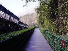 -四川汶川特大地震漩口中学遗址