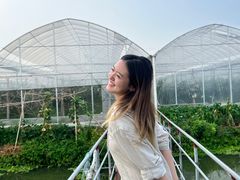 -马陆小张葡萄园农家乐