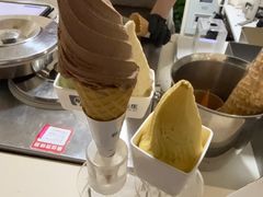-野人先生现做冰淇淋(北京环宇荟店)